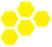 Logo consorzio apicoltori della provincia di Udine